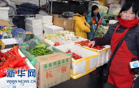 從海南到北京 蔬菜千里運(yùn)銷，一斤僅賺一毛四的農(nóng)產(chǎn)品生產(chǎn)鏈透視