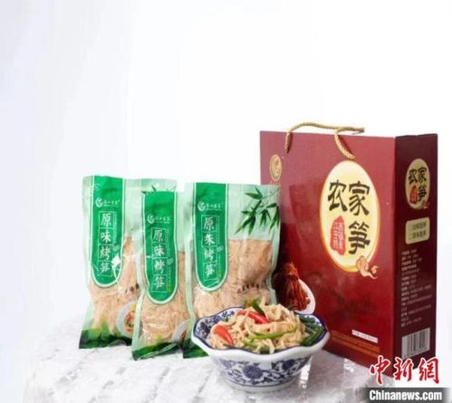 紅土地上振興路 鄉賢助力小竹筍漸成大產業